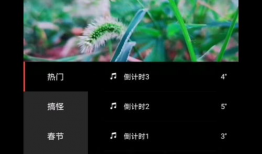 短视频制作网课,轻松制作高效网课教程