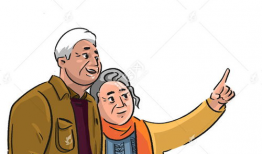 漫画老夫妻,老夫妻漫画故事